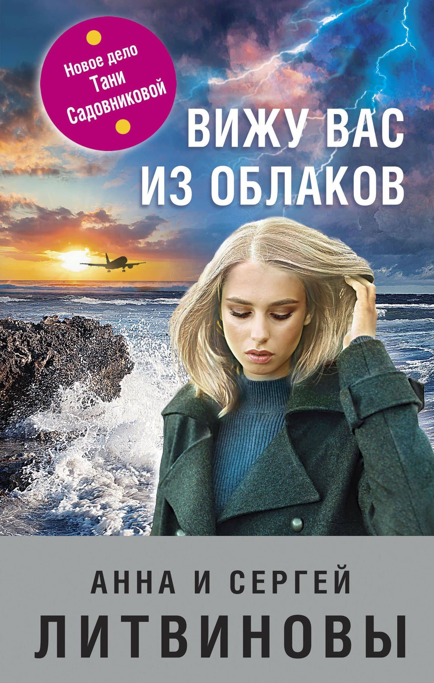 Вижу вас из облаков — Анна Витальевна Литвинова