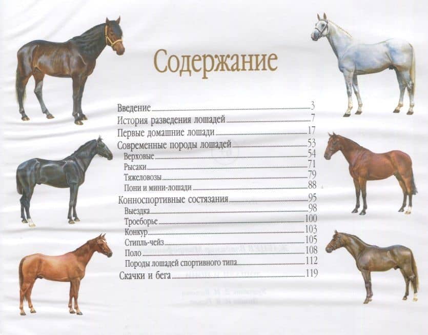 Лошади и пони. Иллюстрированная энциклопедия — Владимир Митрофанович Жабцев (2)