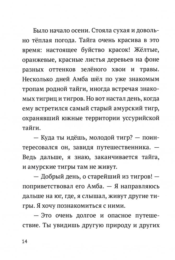 Амурский тигр Амба — Евгения Марцишевская (2)