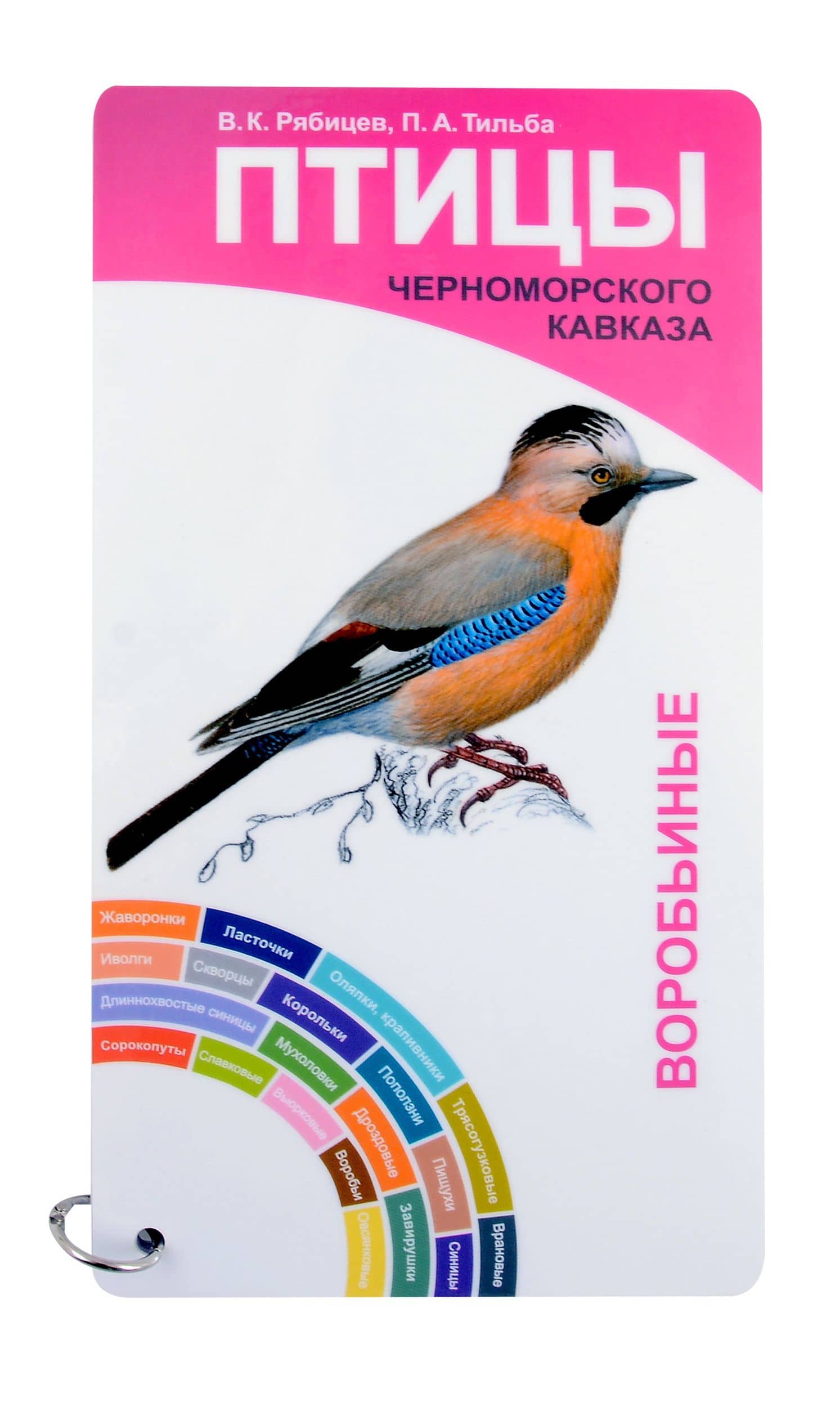 Птицы Черноморского Кавказа. Вобьиные и неворобьиные — Вадим Константинович Рябицев