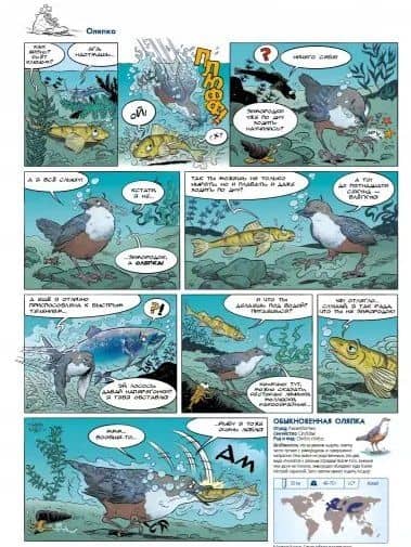 Птицы в комиксах. Том 3 — Жан-Люк Гаррера (2)