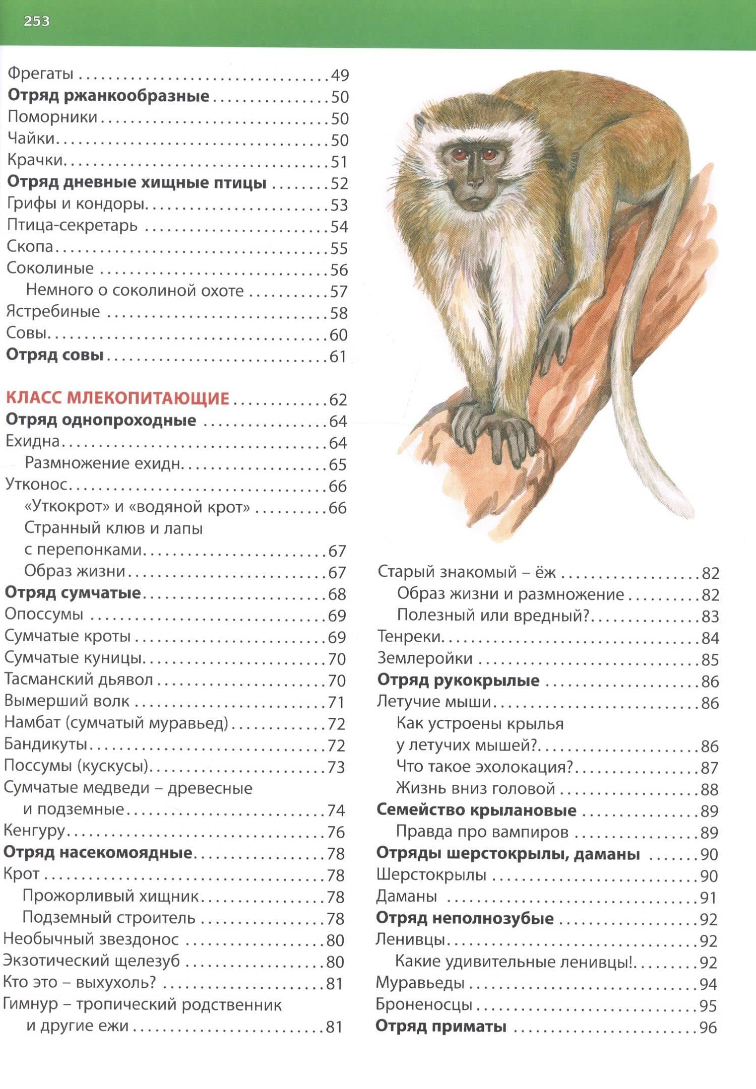 Животные. Большая детская энциклопедия — С. Рублев (3)