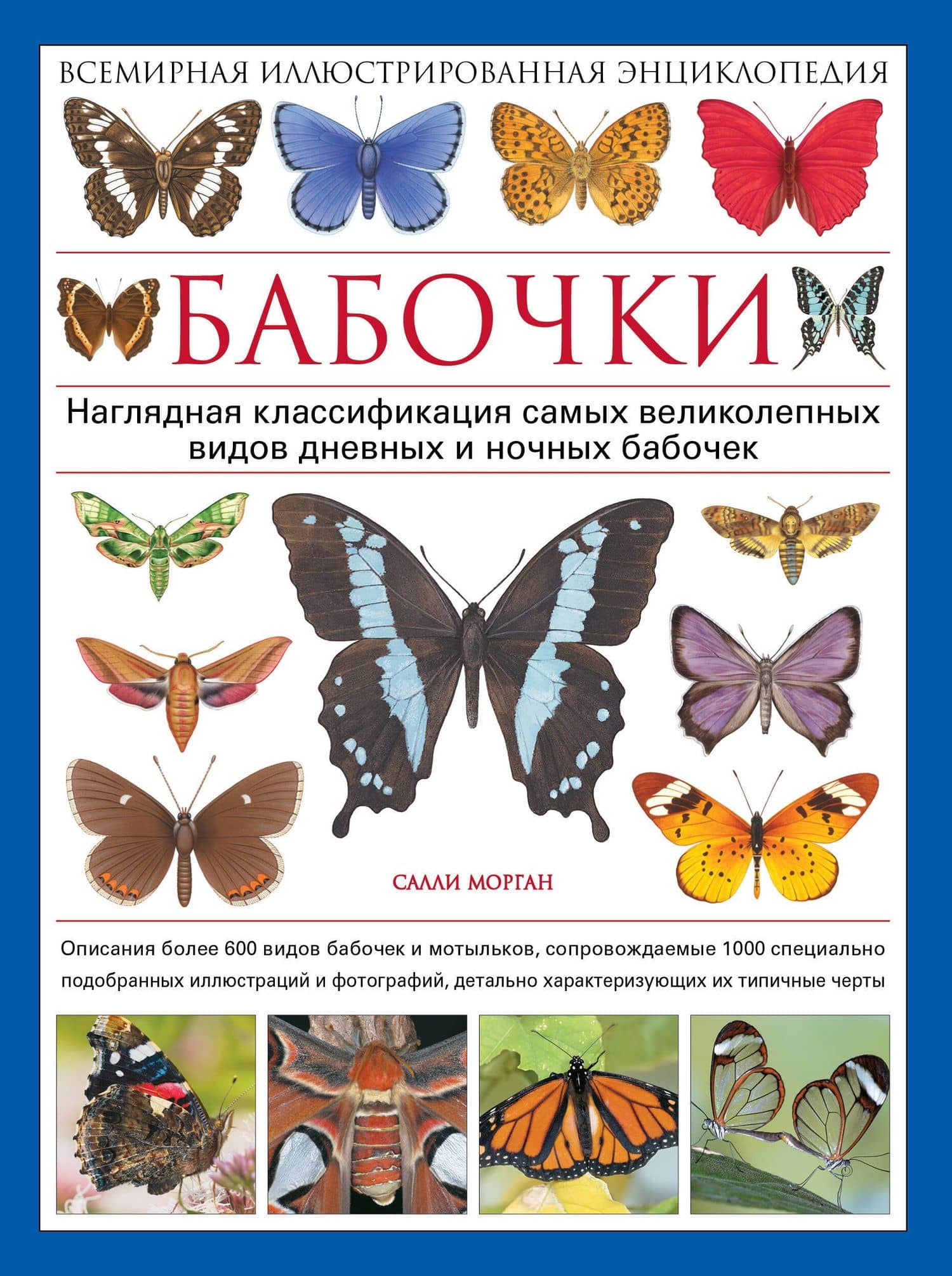 Бабочки! Маленькая энциклопедия. Обаятельная книжка о красивом существе — Мишель Бове