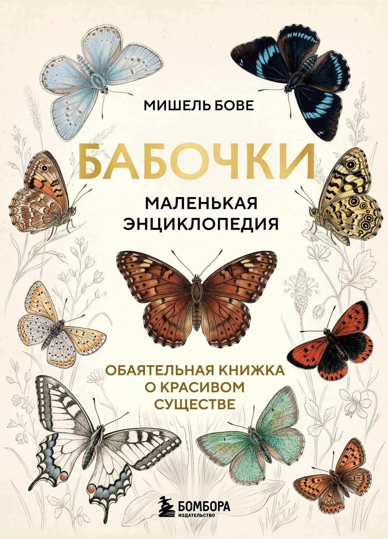 Бабочки! Маленькая энциклопедия. Обаятельная книжка о красивом существе — Мишель Бове