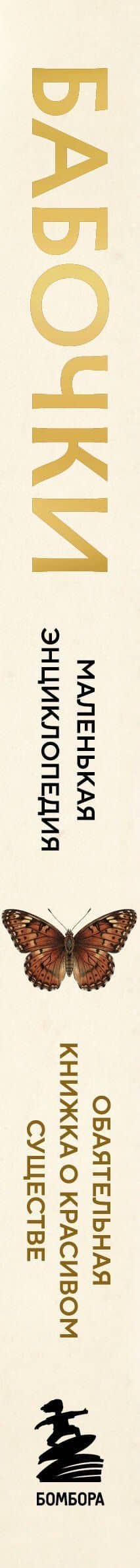 Бабочки! Маленькая энциклопедия. Обаятельная книжка о красивом существе — Мишель Бове (3)