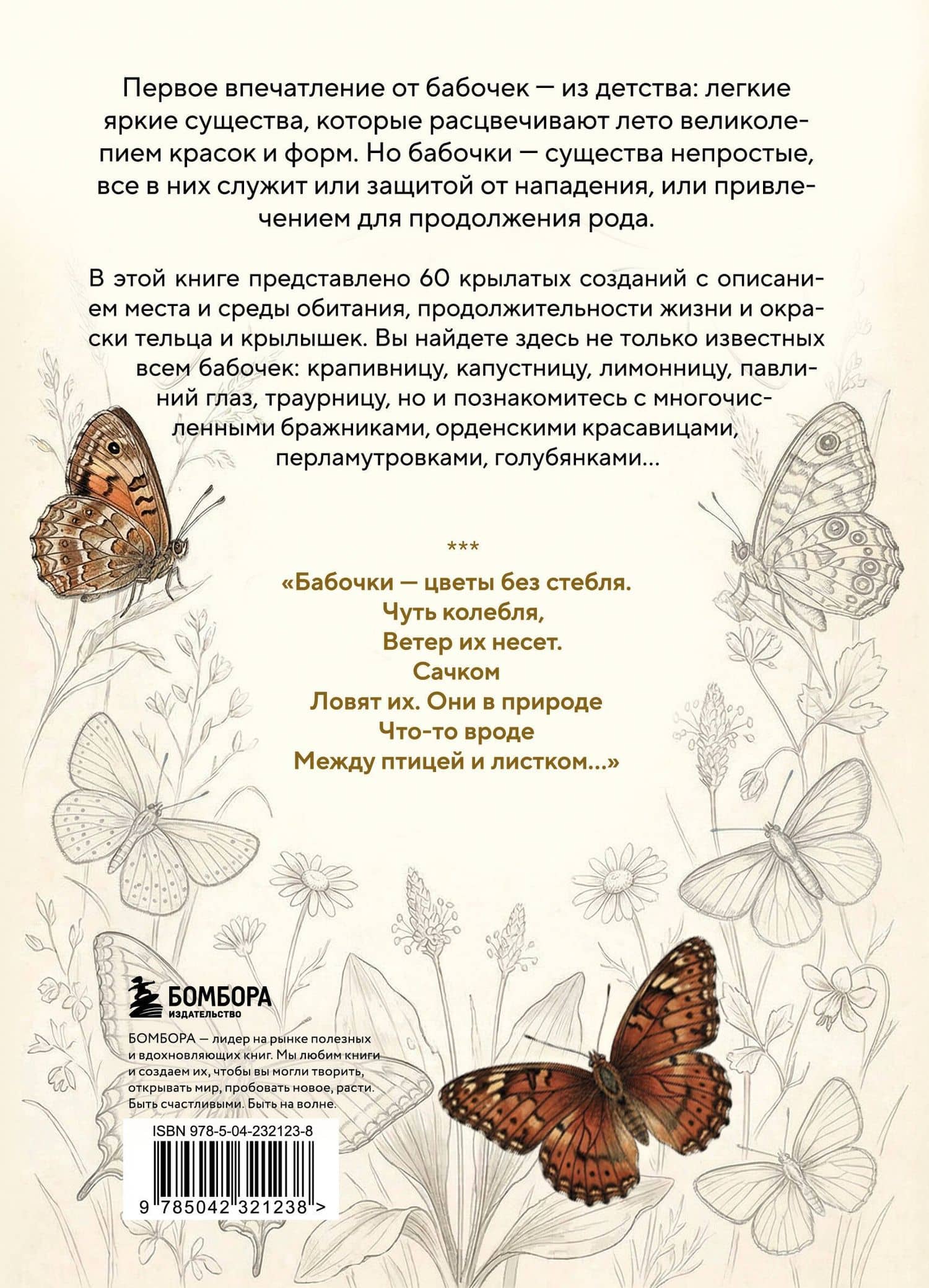 Бабочки! Маленькая энциклопедия. Обаятельная книжка о красивом существе — Мишель Бове (2)