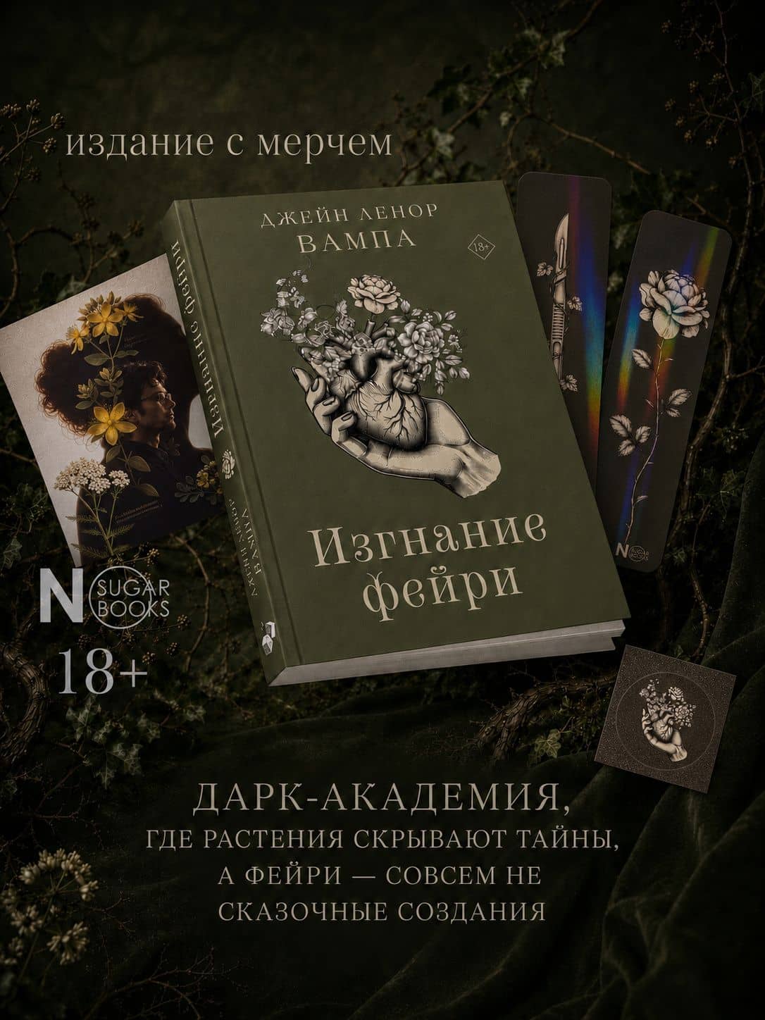 Изгнание фейри — Джейн Ленор Вампа