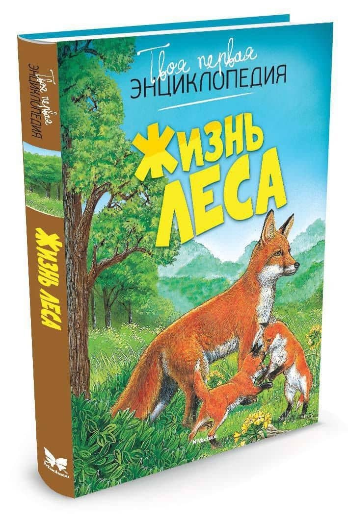 Жизнь леса — Пимон (2)