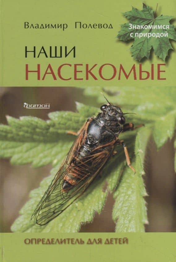 Наши насекомые. Определитель для детей — Владимир Полевод