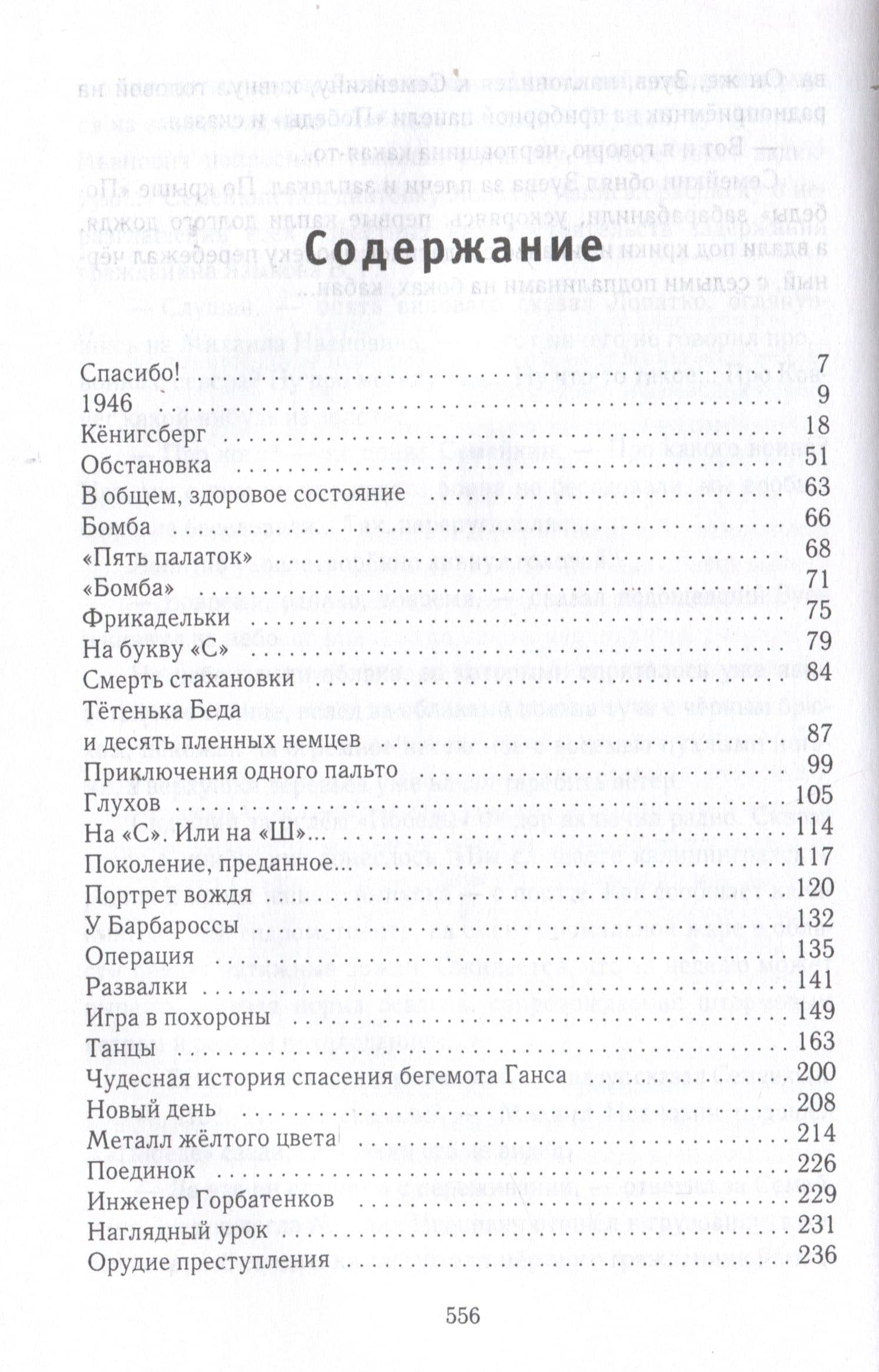 Кисет с землей и кровью: роман — Александр Анатольевич Адерихин (3)
