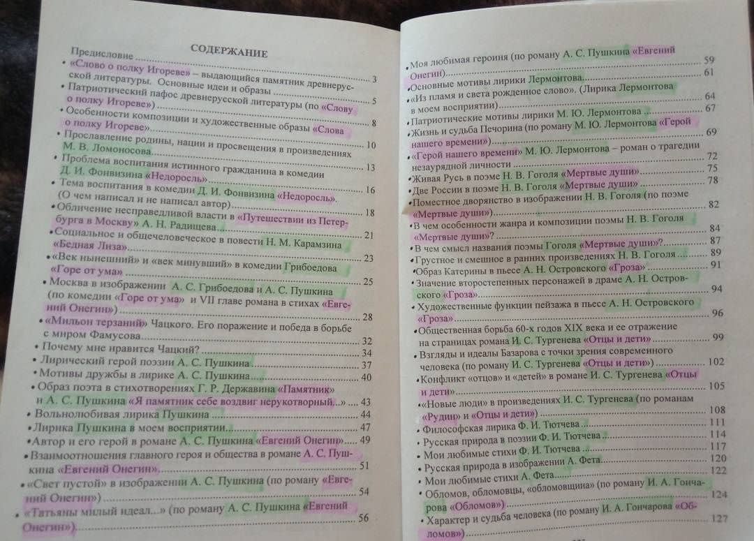 Сочинения. Русский язык и литература. 9-11 классы. Формулировки проблем. ФГОС (3)
