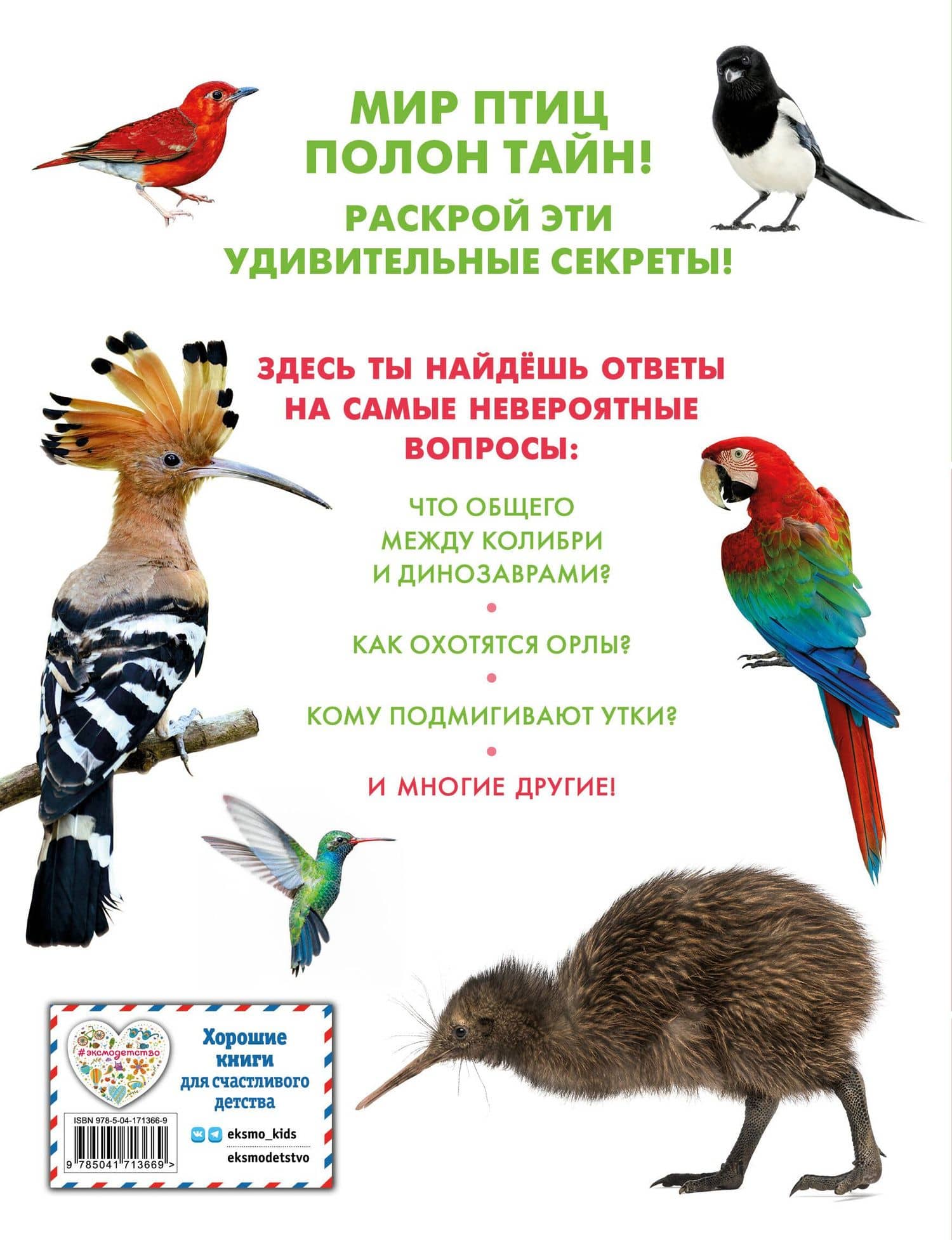 Птицы (2)