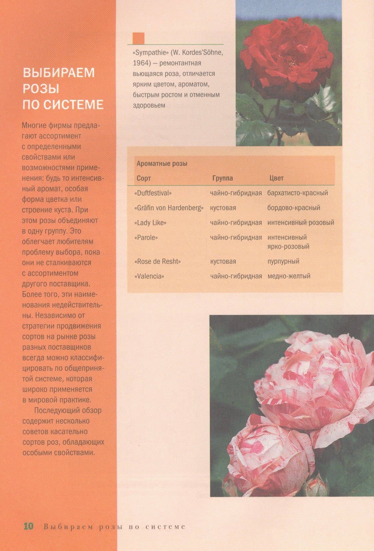 Садовые розы. Посадка. Обрезка. Подкормка. 169 лучших сортов. Иллюстрированное руководство — Экарт Хэнхен (2)