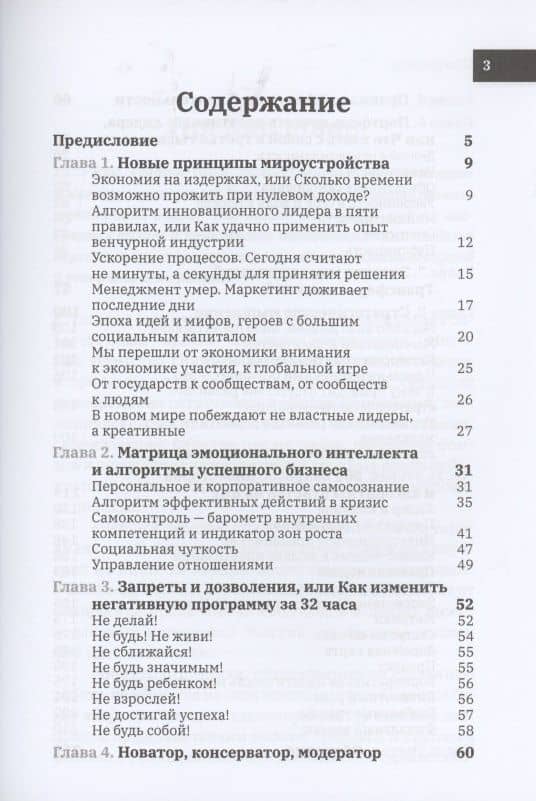 Мысли стратегически. 500 вопросов инвесторов и алгоритмы ответов на них — Екатерина Ледокол (2)