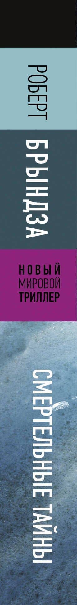 Смертельные тайны — Роберт Брындза (3)