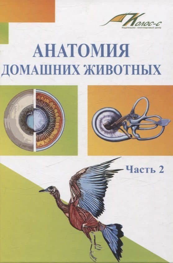 Анатомия домашних животных. Часть 2 — Наталья Анатольевна Слесаренко