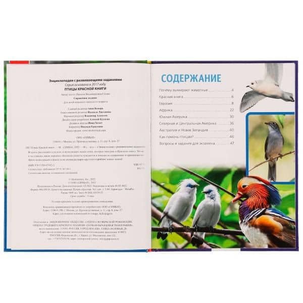 Птицы Красной книги — Седова Н.В. (2)