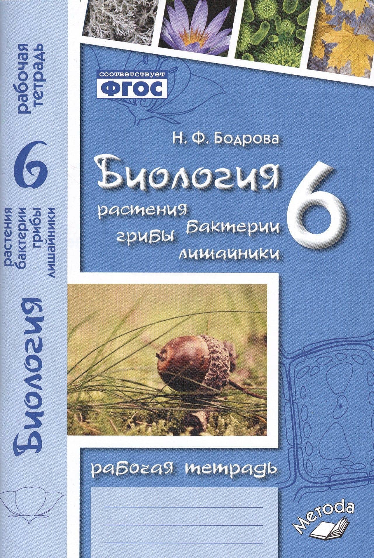 Биология. 6 класс. Растения. Бактерии. Грибы. Лишайники. Рабочая тетрадь — Наталья Федоровна Бодрова