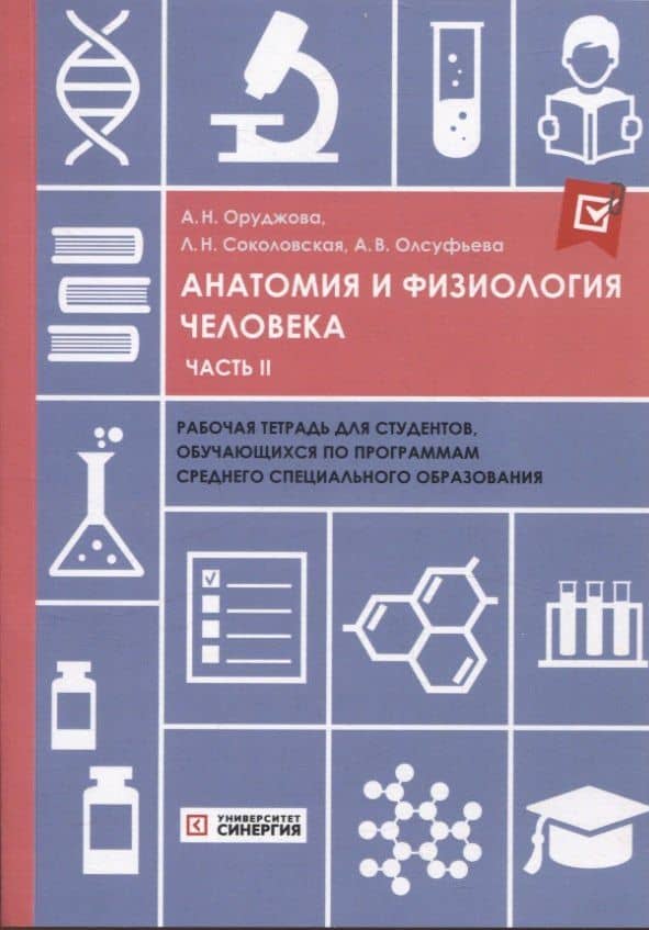 Анатомия и физиология человека: рабочая тетрадь. Часть II 2025 г. — Айнур Новруз Оруджова