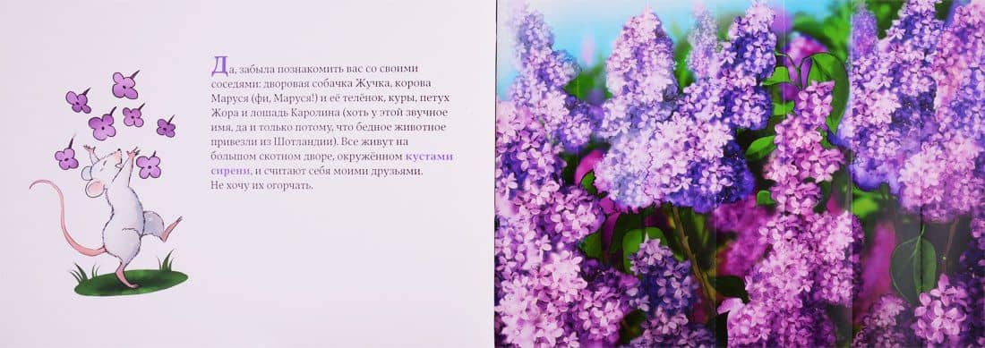 Дневник кошки Баси — Настя Ланда (3)