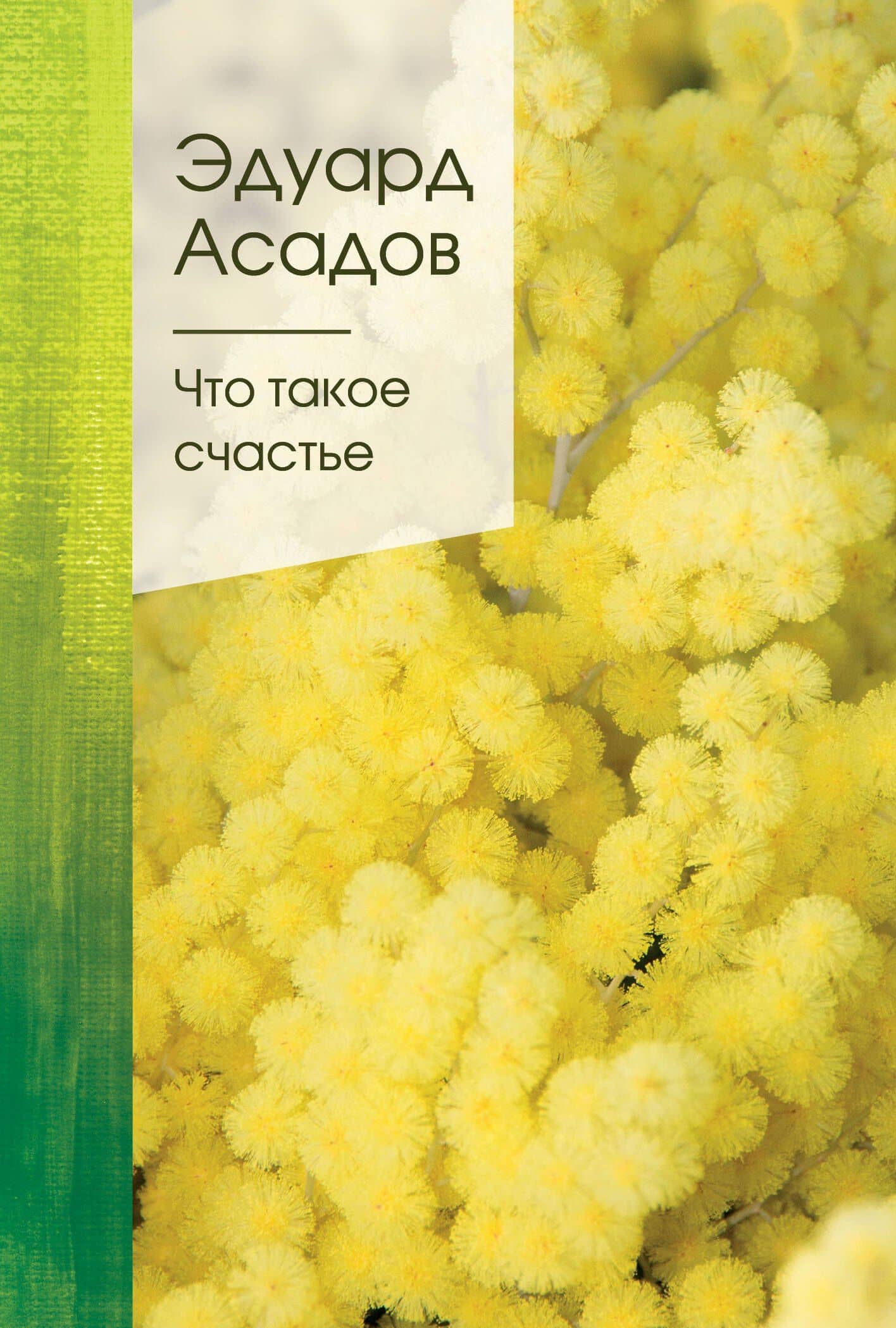 Что такое счастье — Эдуард Аркадьевич Асадов