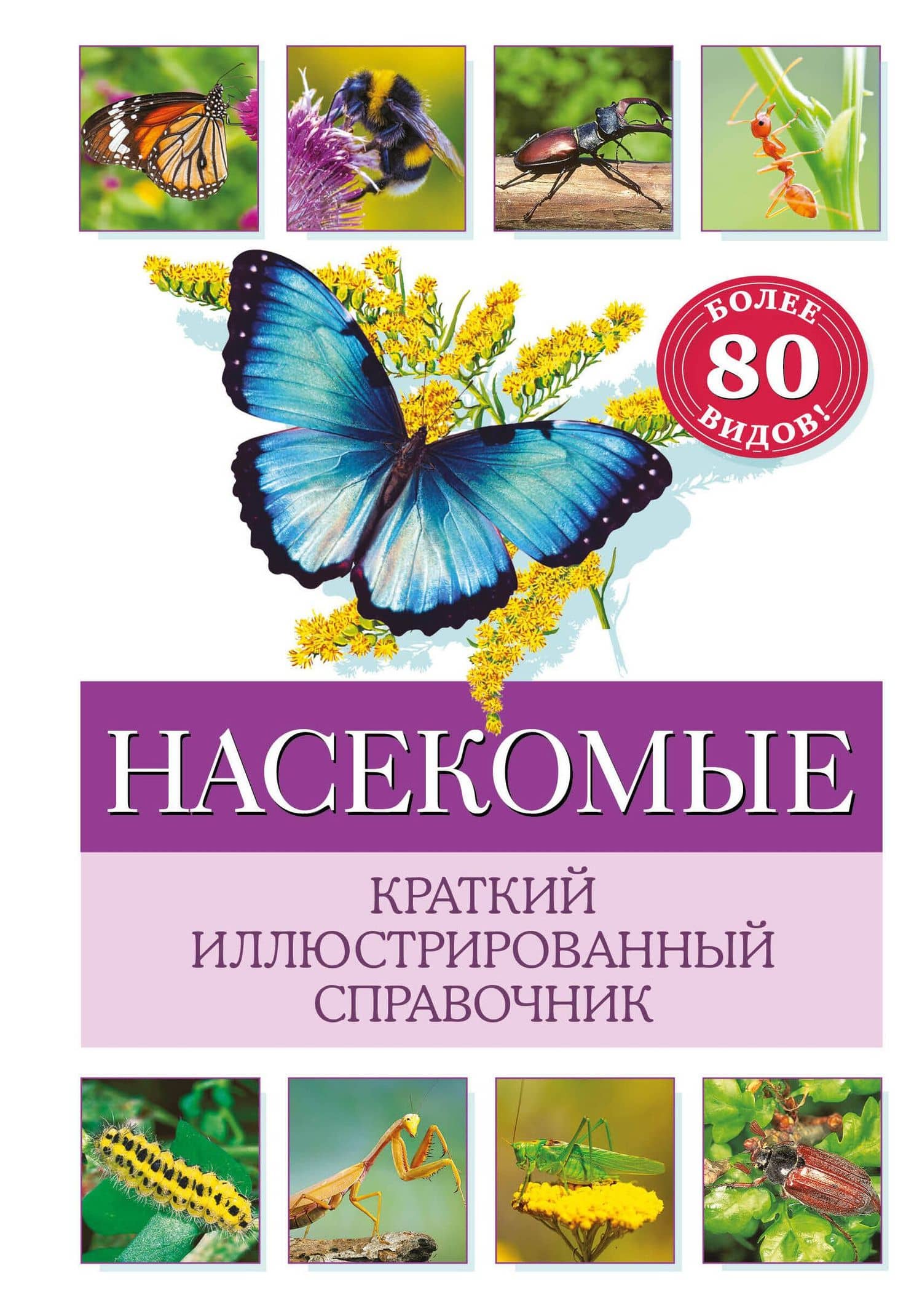 Насекомые. Краткий иллюстрированный справочник — Хааг Хольгер