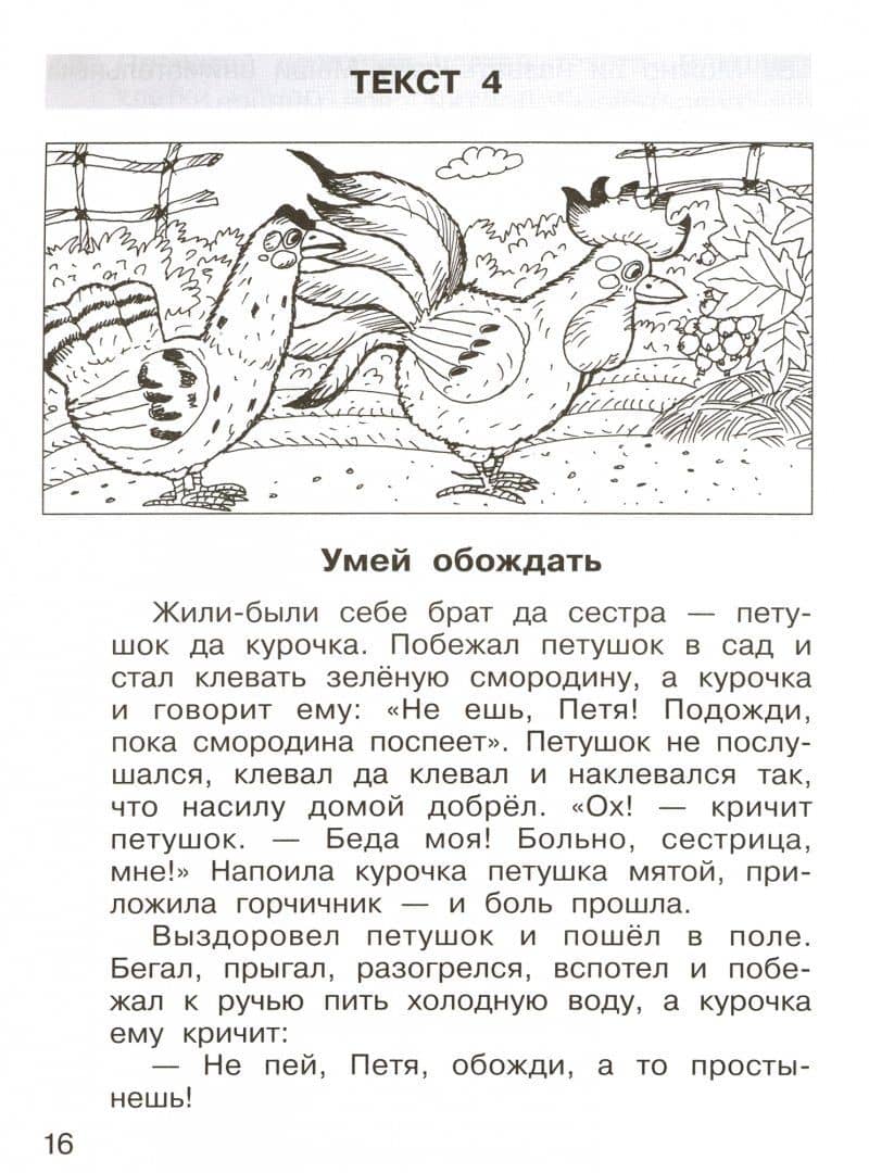 Формирование навыков смыслового чтения на уроках литературного чтения. 1 класс. Тетрадь-тренажер — Татьяна Леонидовна Мишакина (2)