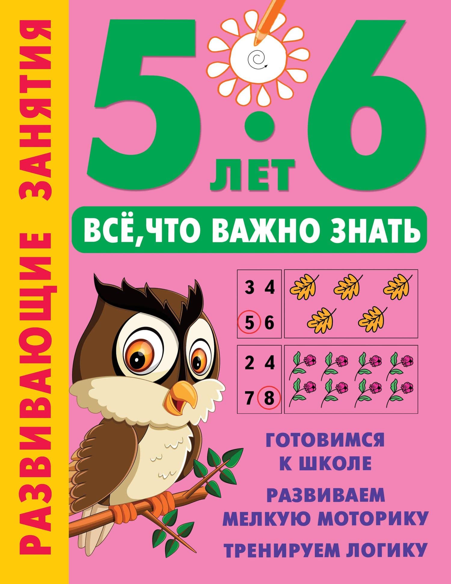 Развивающие занятия. Всё, что важно знать. 5-6 лет — Валентина Геннадьевна Дмитриева