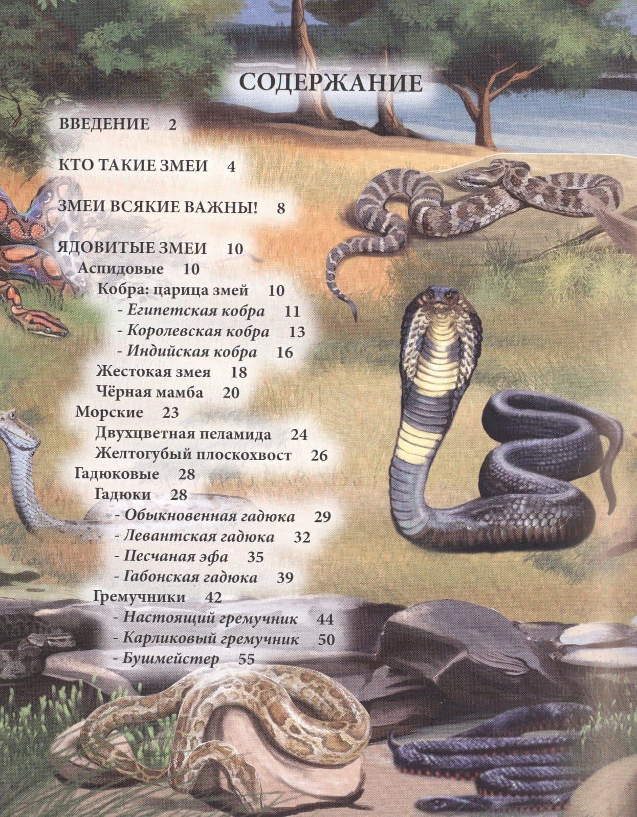 ЭНЦИКЛОПЕДИЯ. ХОЧУ ЗНАТЬ. ЗМЕИ — Екатерина Куруськина (2)