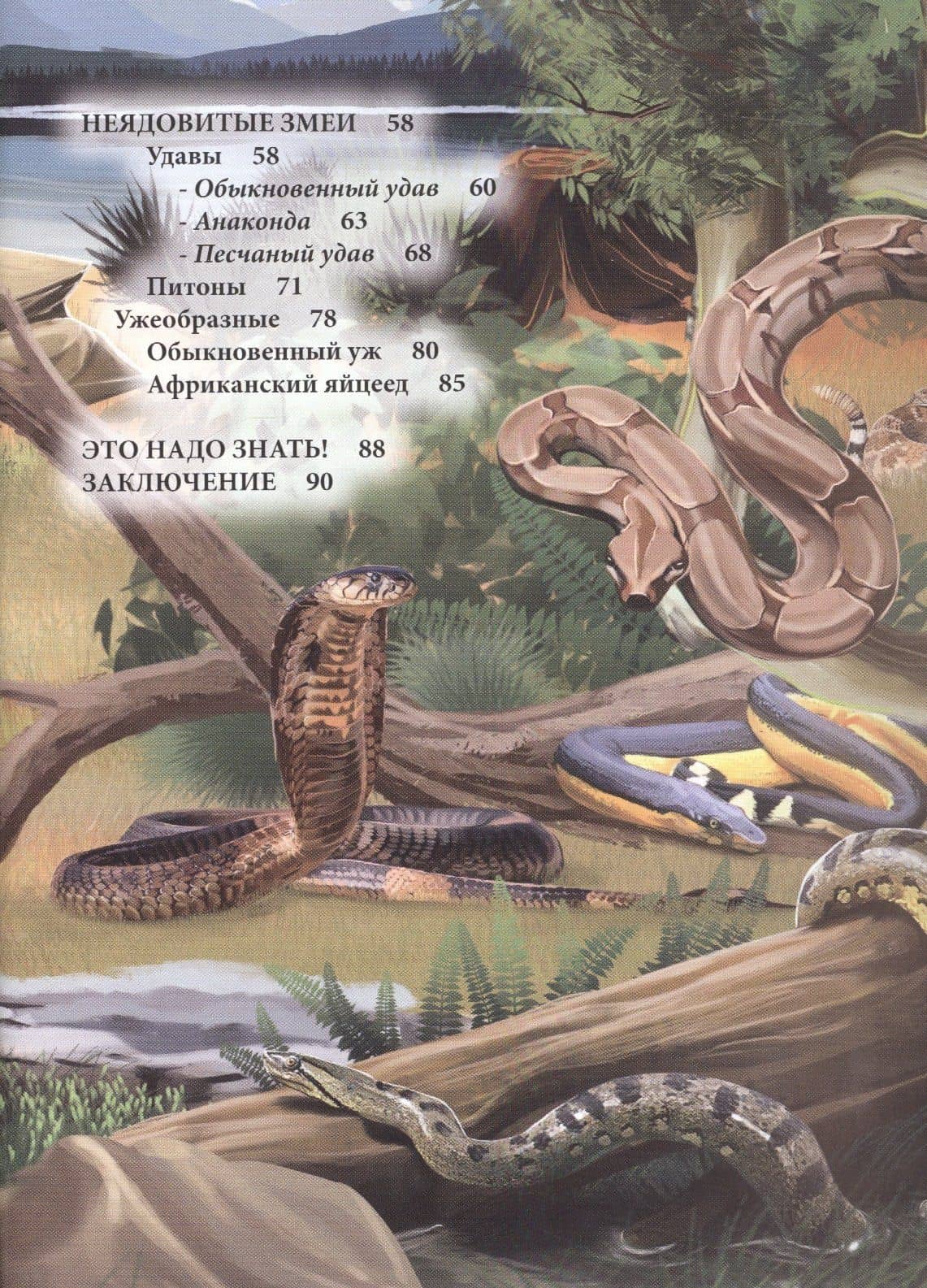 ЭНЦИКЛОПЕДИЯ. ХОЧУ ЗНАТЬ. ЗМЕИ — Екатерина Куруськина (3)