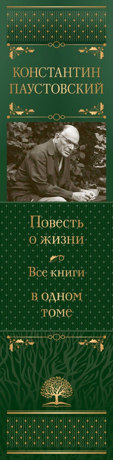 Повесть о жизни. Все книги в одном томе — Константин Паустовский (3)