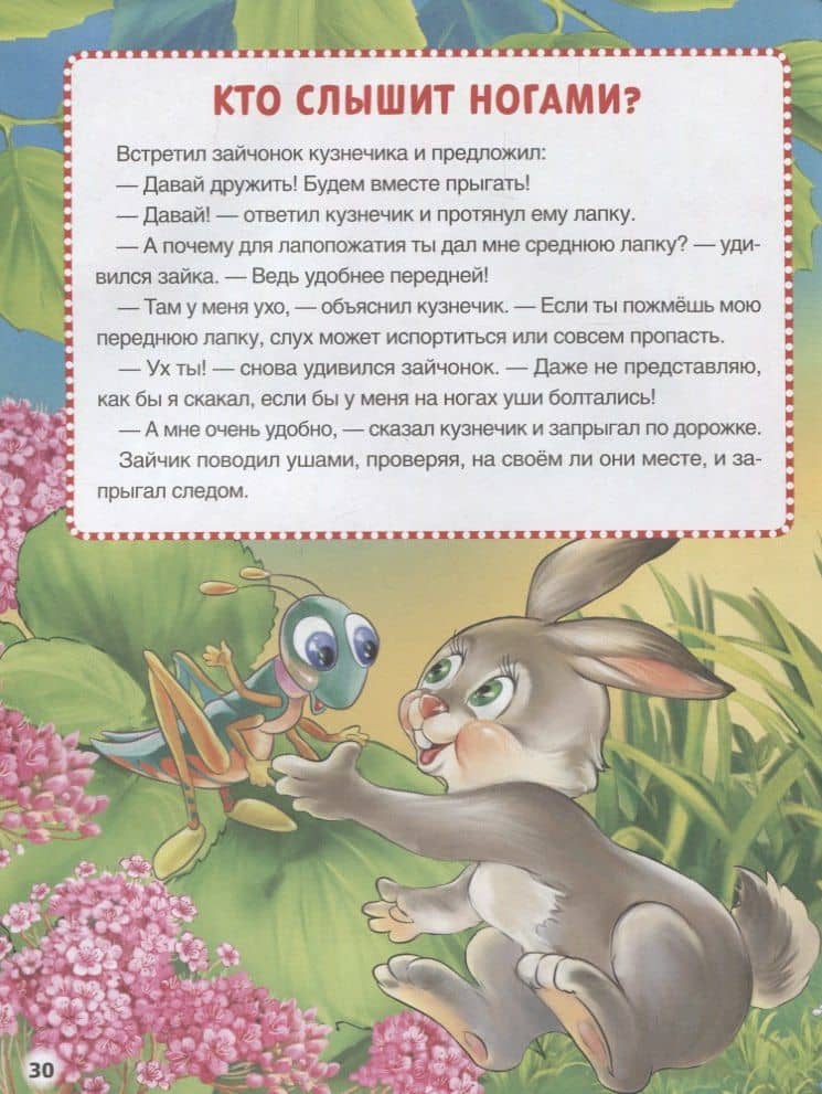 Животные — Марина Владимировна Дружинина (3)