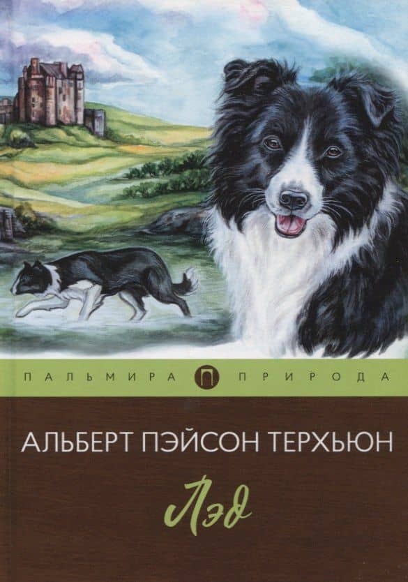 Лэд: повесть — Альберт Пэйсон Терхьюн