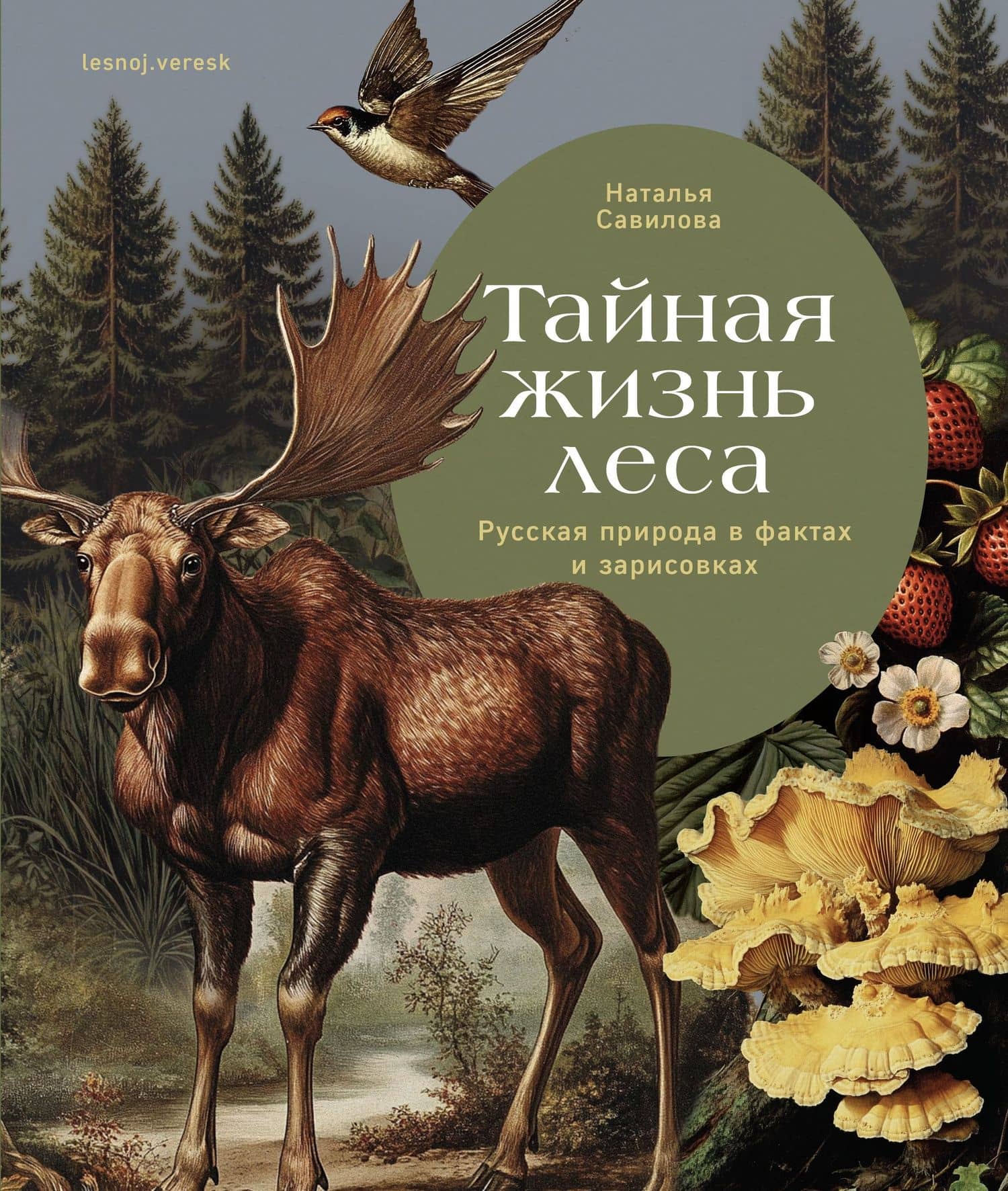 Тайная жизнь леса. Русская природа в фактах и зарисовках — Наталья Олеговна Савилова