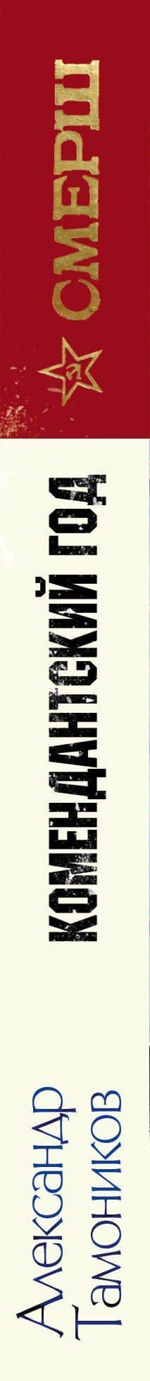 Комендантский год — Александр Александрович Тамоников (3)
