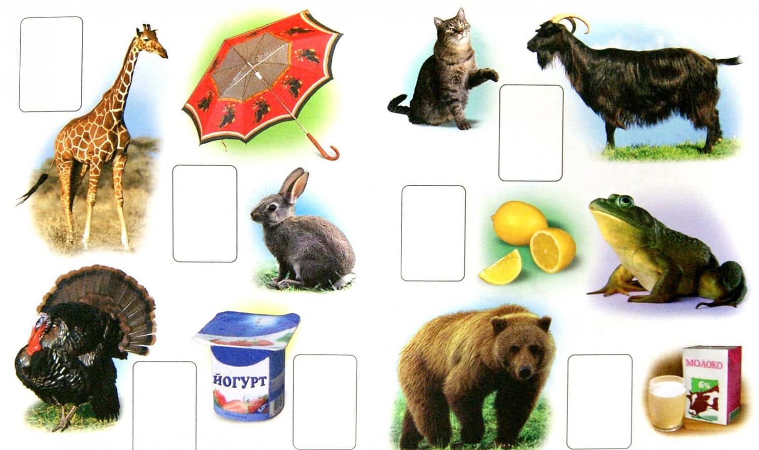 Буквы (2)
