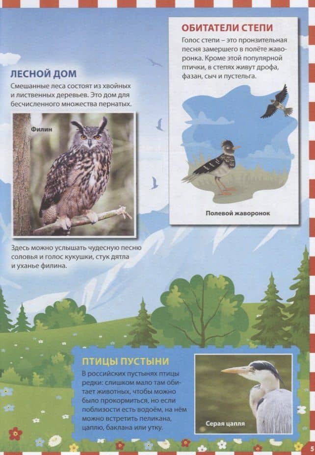 Энциклопедия птиц России для детей (3)