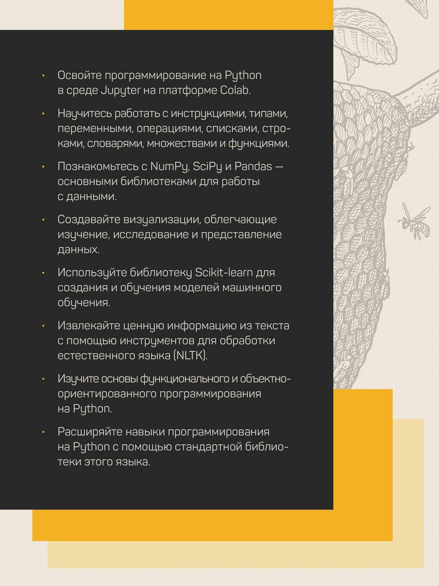 Основы Python для Data Science — Кеннеди Берман (3)