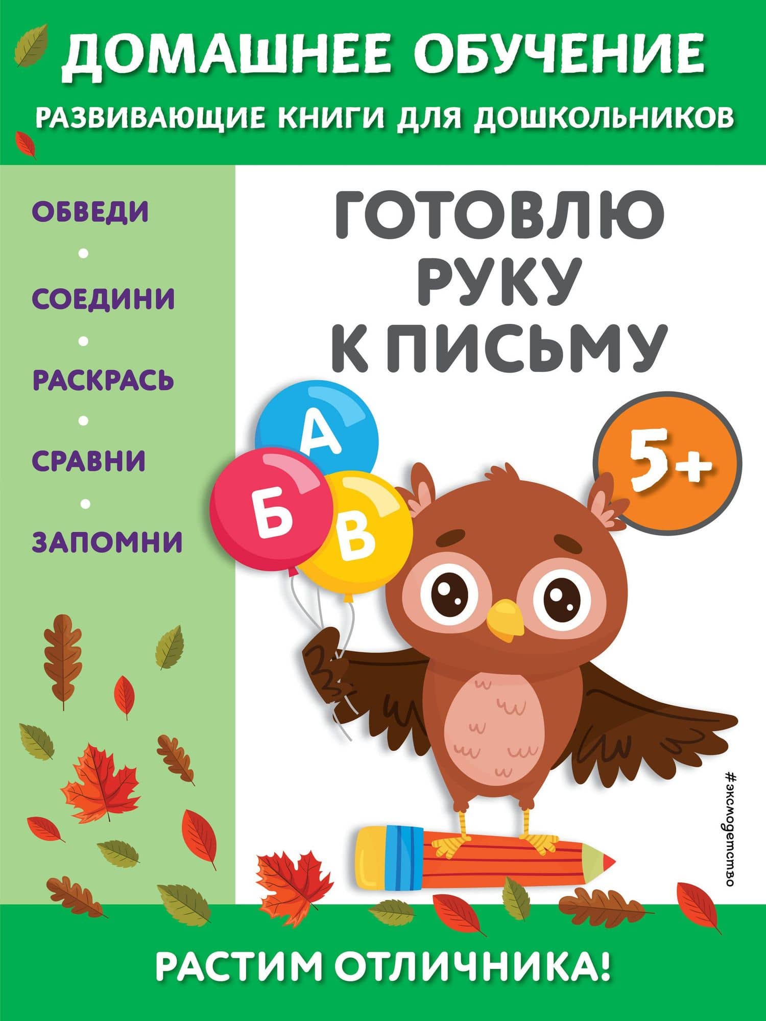 Готовлю руку к письму: для детей от 5 лет — Эдже Эмине Чакуди