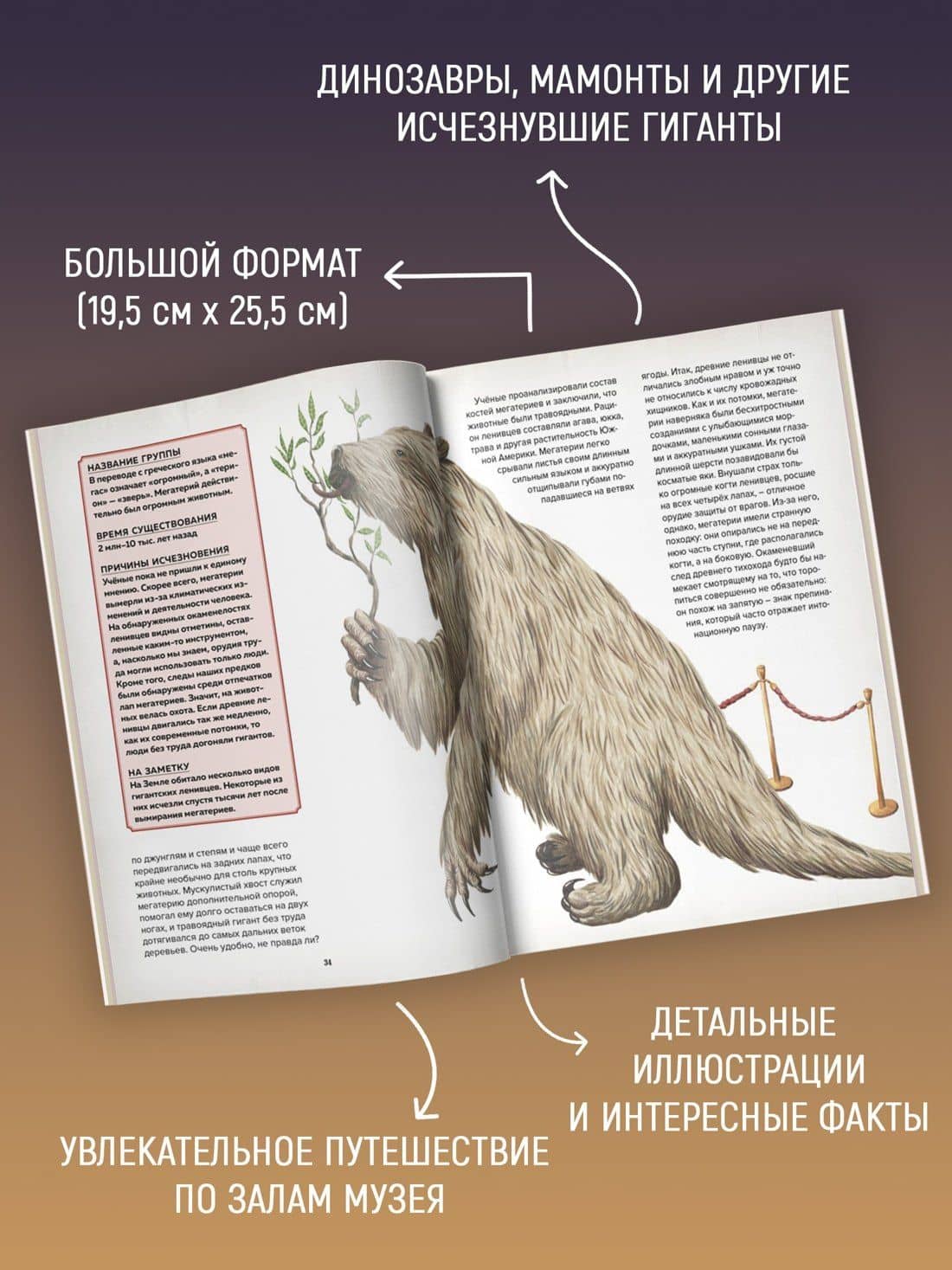 Музей доисторических животных. Единороги, мамонты, динозавры и другие экспонаты — Лотте Стегман (3)