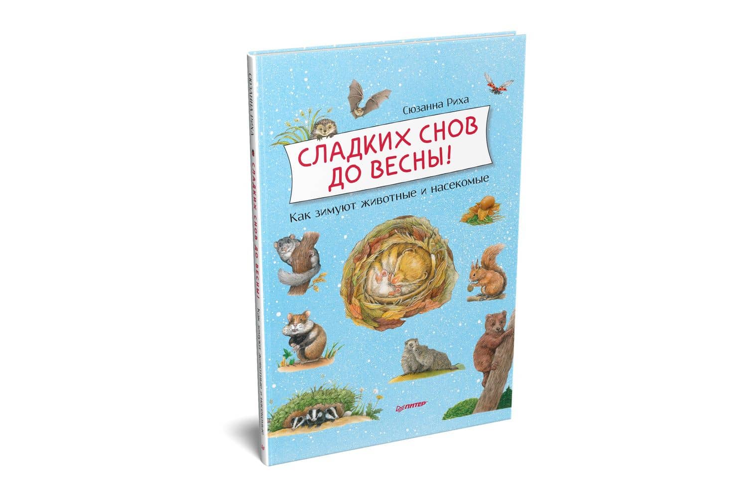 Сладких снов до весны! Как зимуют животные и насекомые — Сюзанна Риха (2)