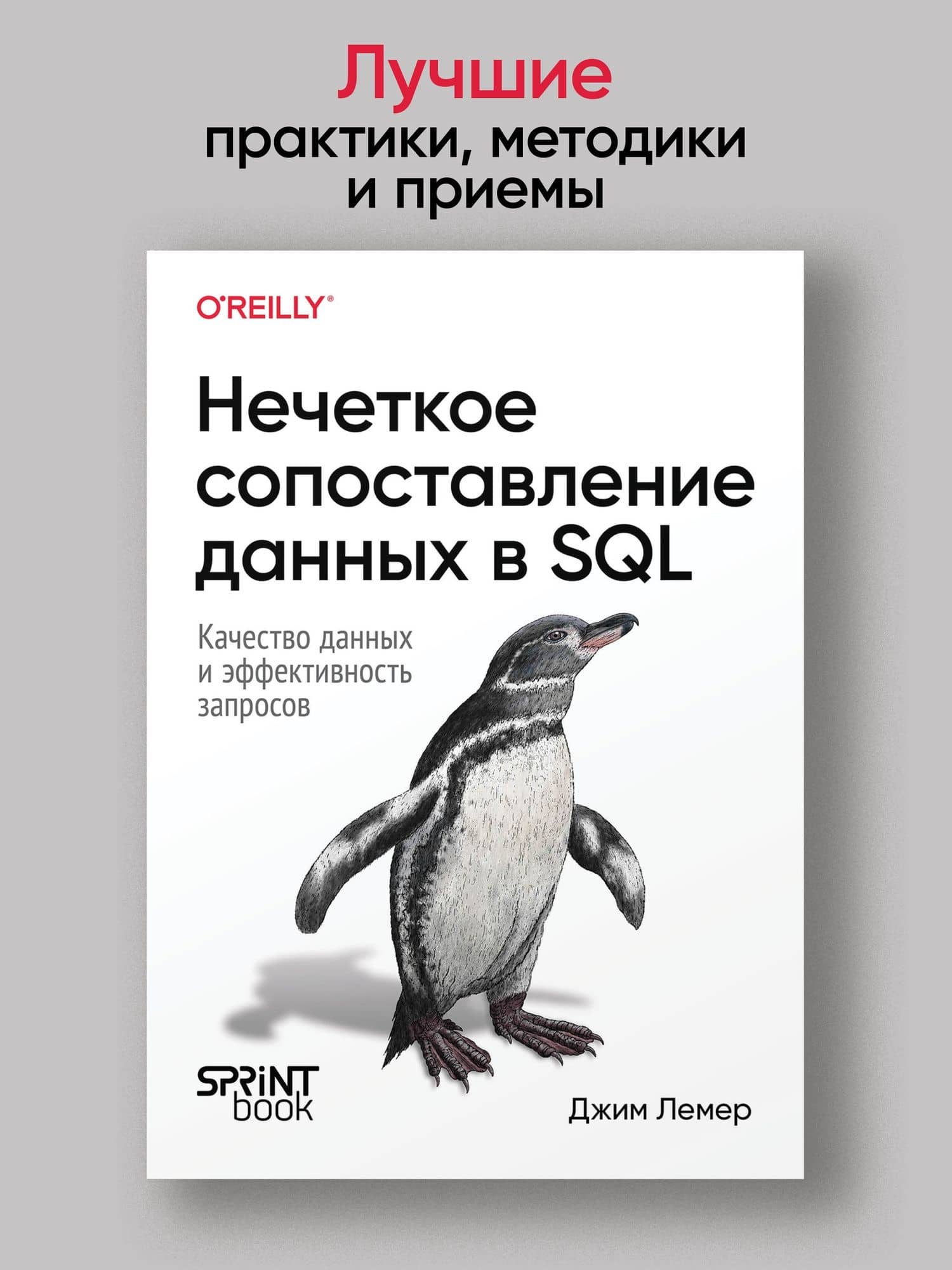 Нечеткое сопоставление данных в SQL — Джим Лемер (2)