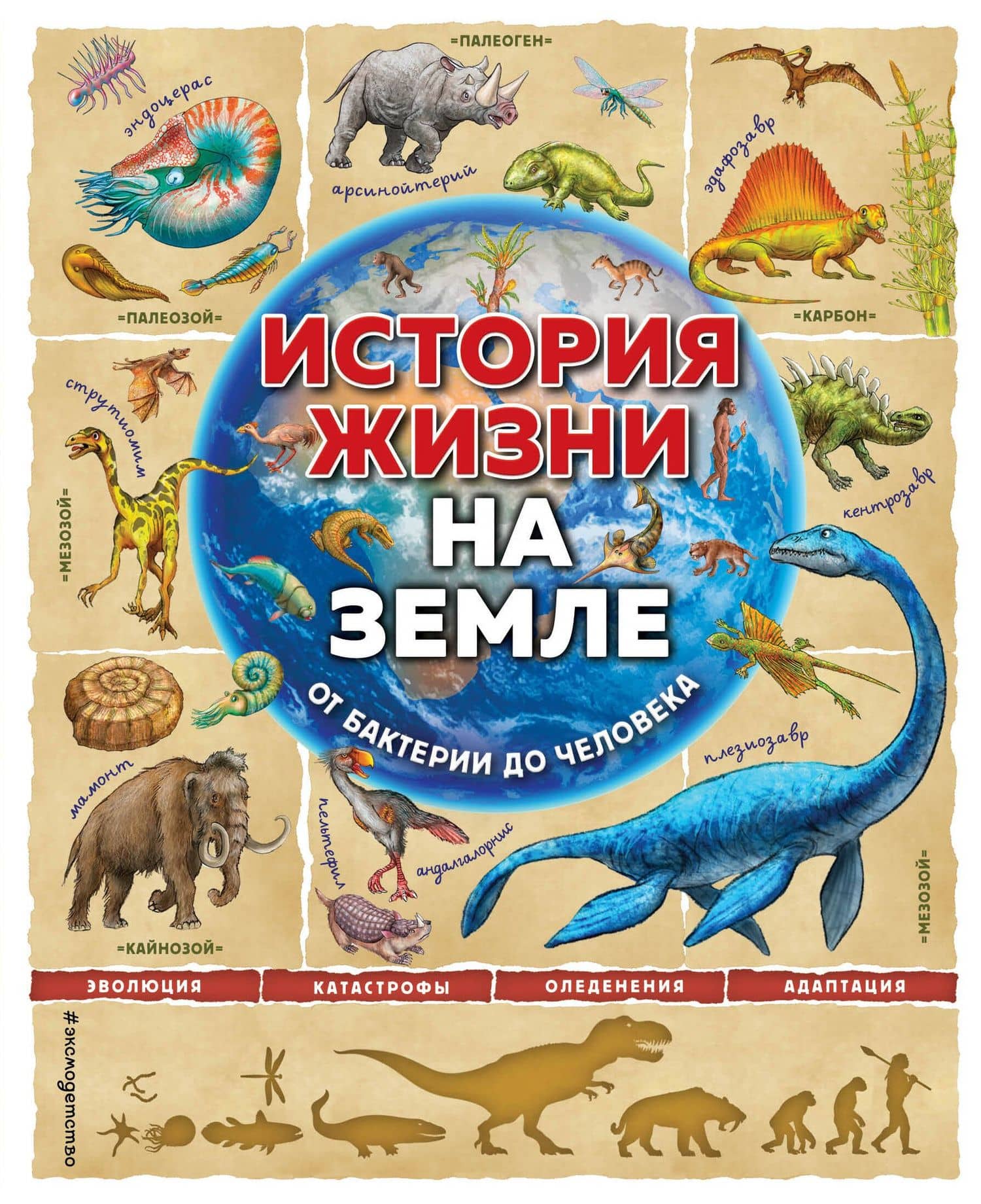 История жизни на Земле. От бактерии до человека — Фелиция Ло