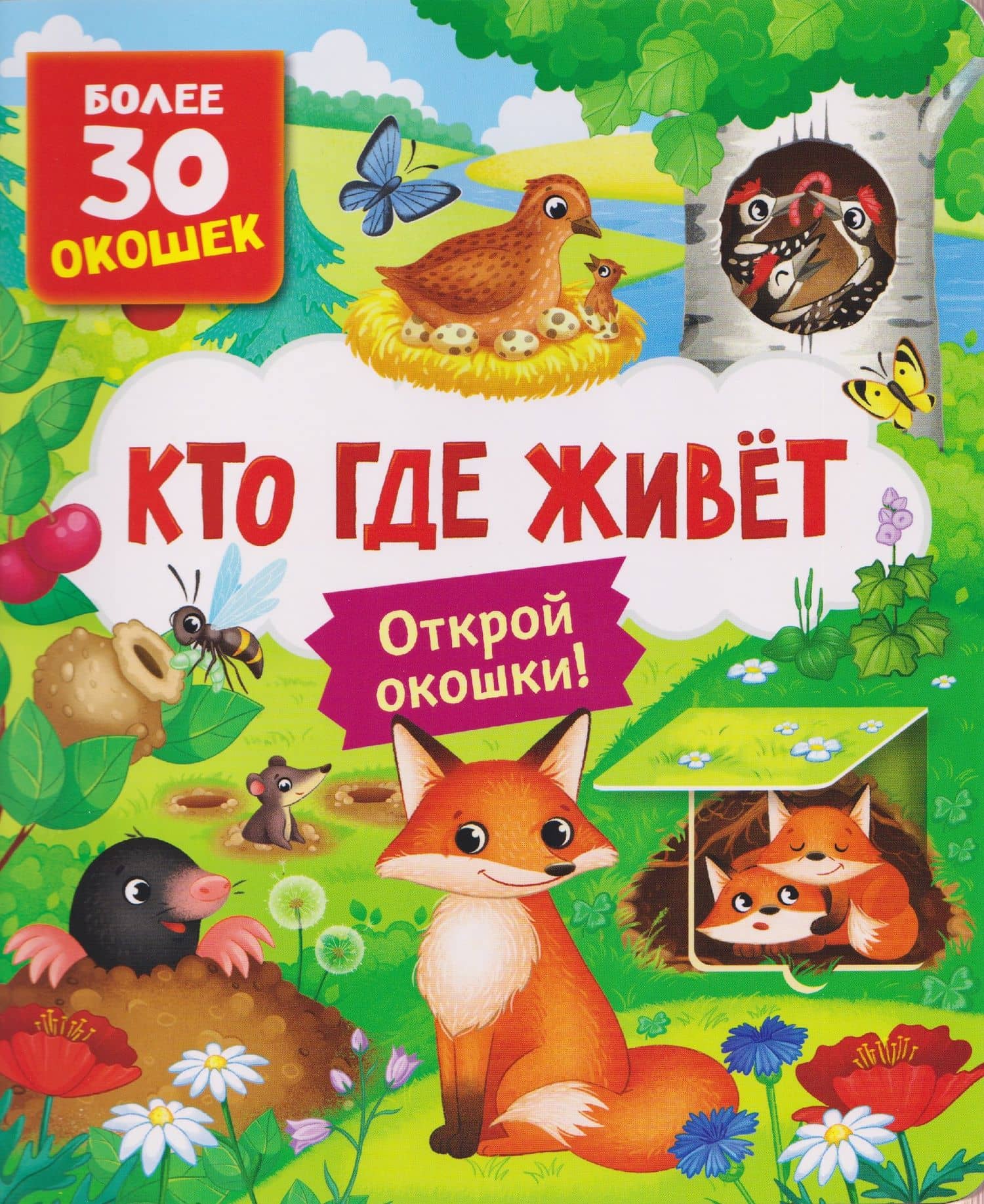 Кто где живет. Книга с окошками — Лариса Владимировна Клюшник
