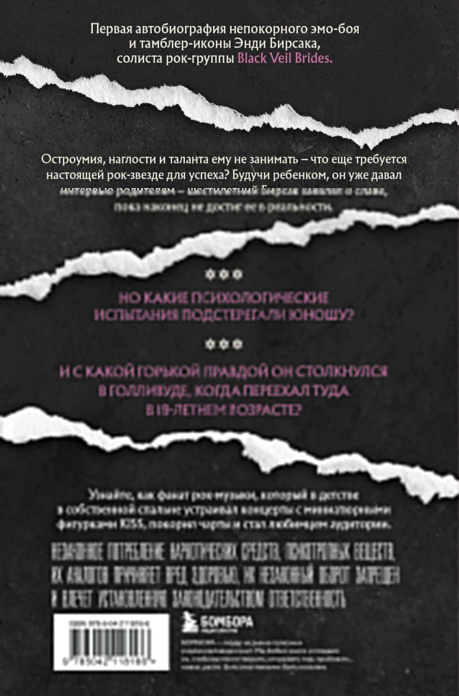 Они не поймут эти истории: Вдохновляющая автобиография солиста Black Veil Brides Энди Бирсака — Энди Бирсак (2)