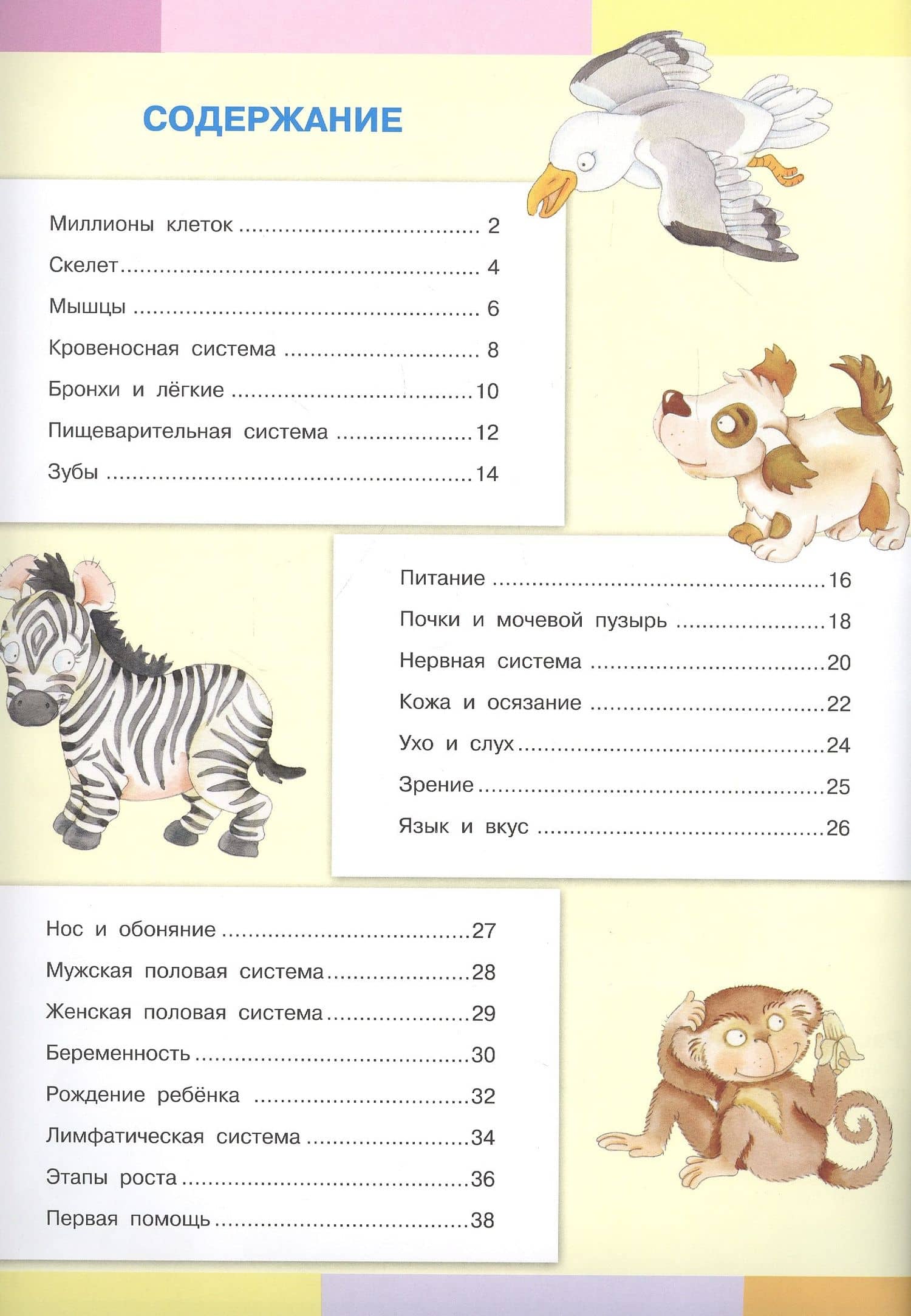 Тело человека. Моя первая энциклопедия с наклейками — Элеонора Барсотти (2)