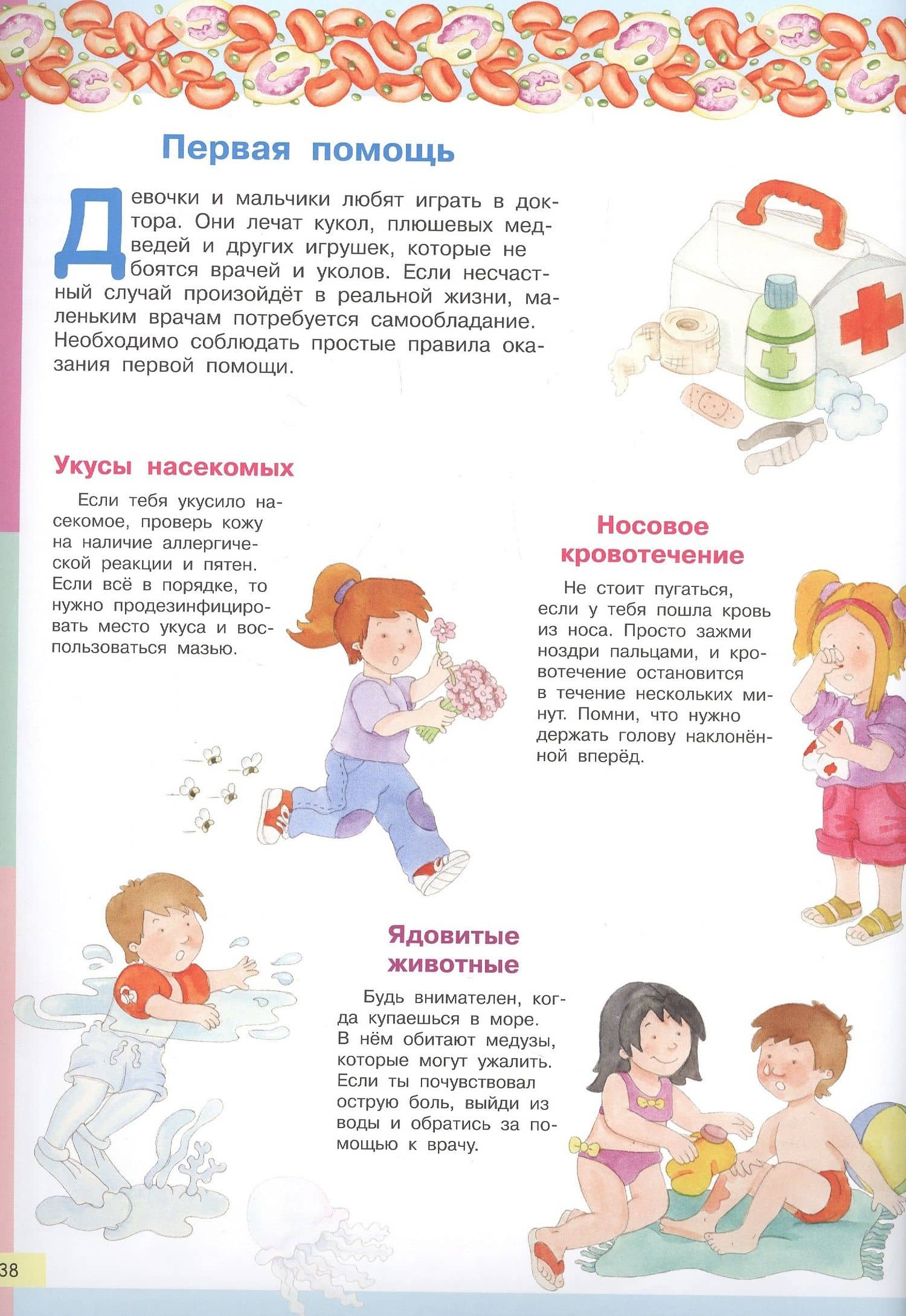 Тело человека. Моя первая энциклопедия с наклейками — Элеонора Барсотти (3)