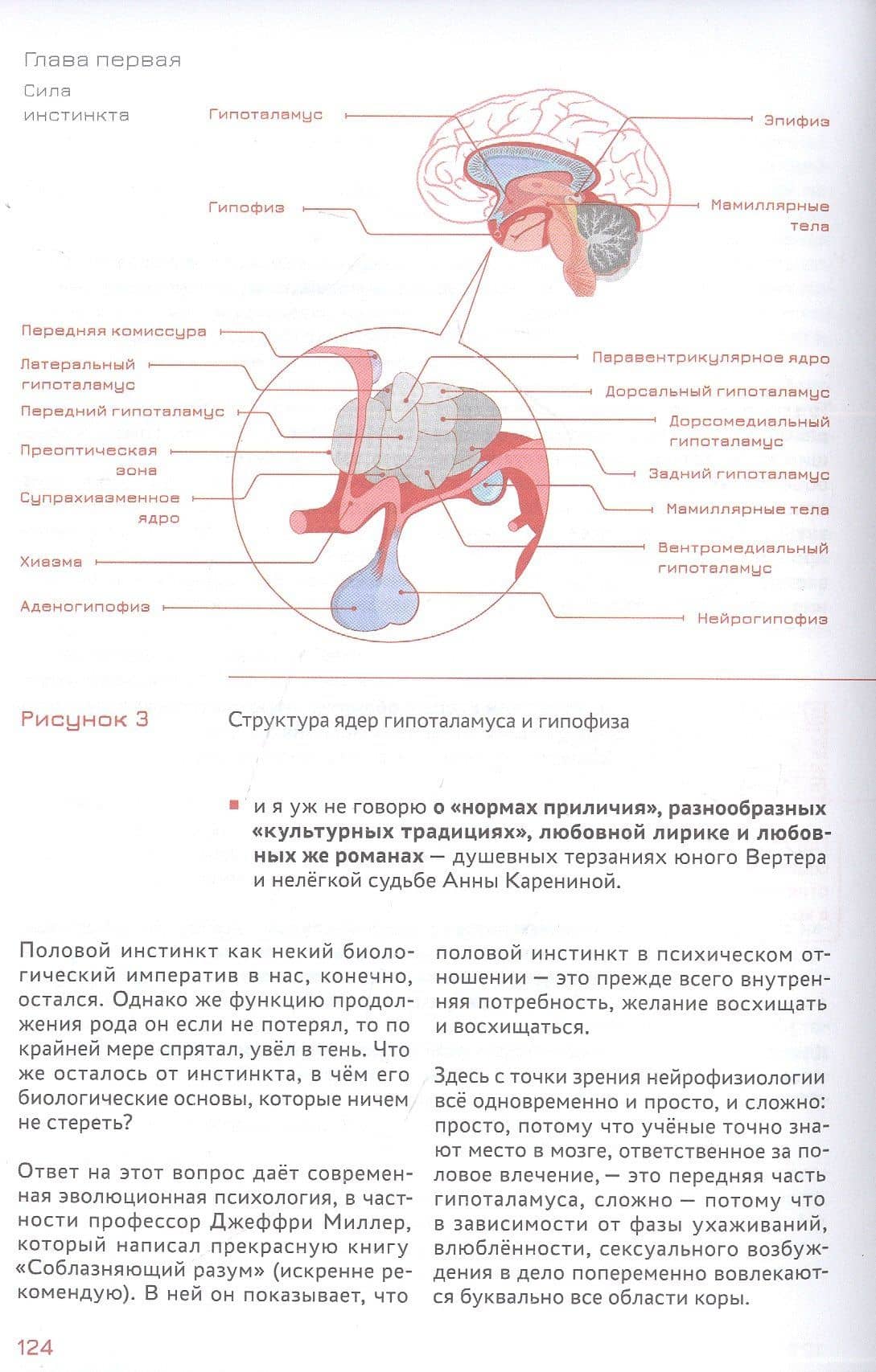 Стратегическое мышление в бизнесе. Технология "Векторное кольцо" — Андрей Владимирович Курпатов (2)