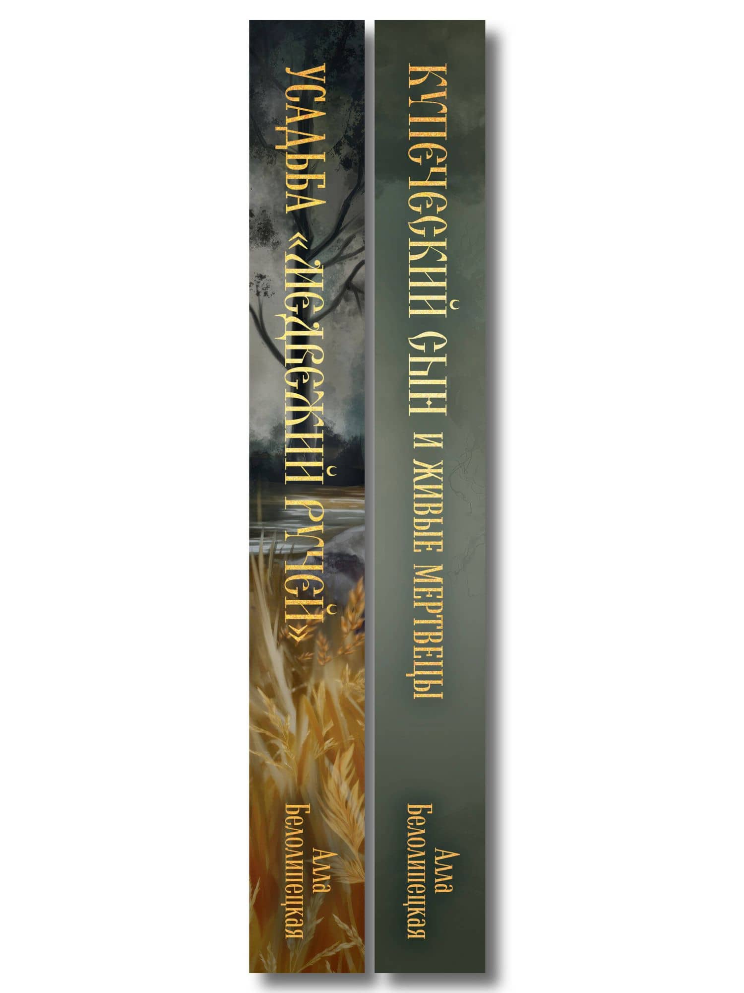 Комплект из 2-х книг: Купеческий сын и живые мертвецы + Усадьба "Медвежий Ручей" — Алла Белолипецкая (3)