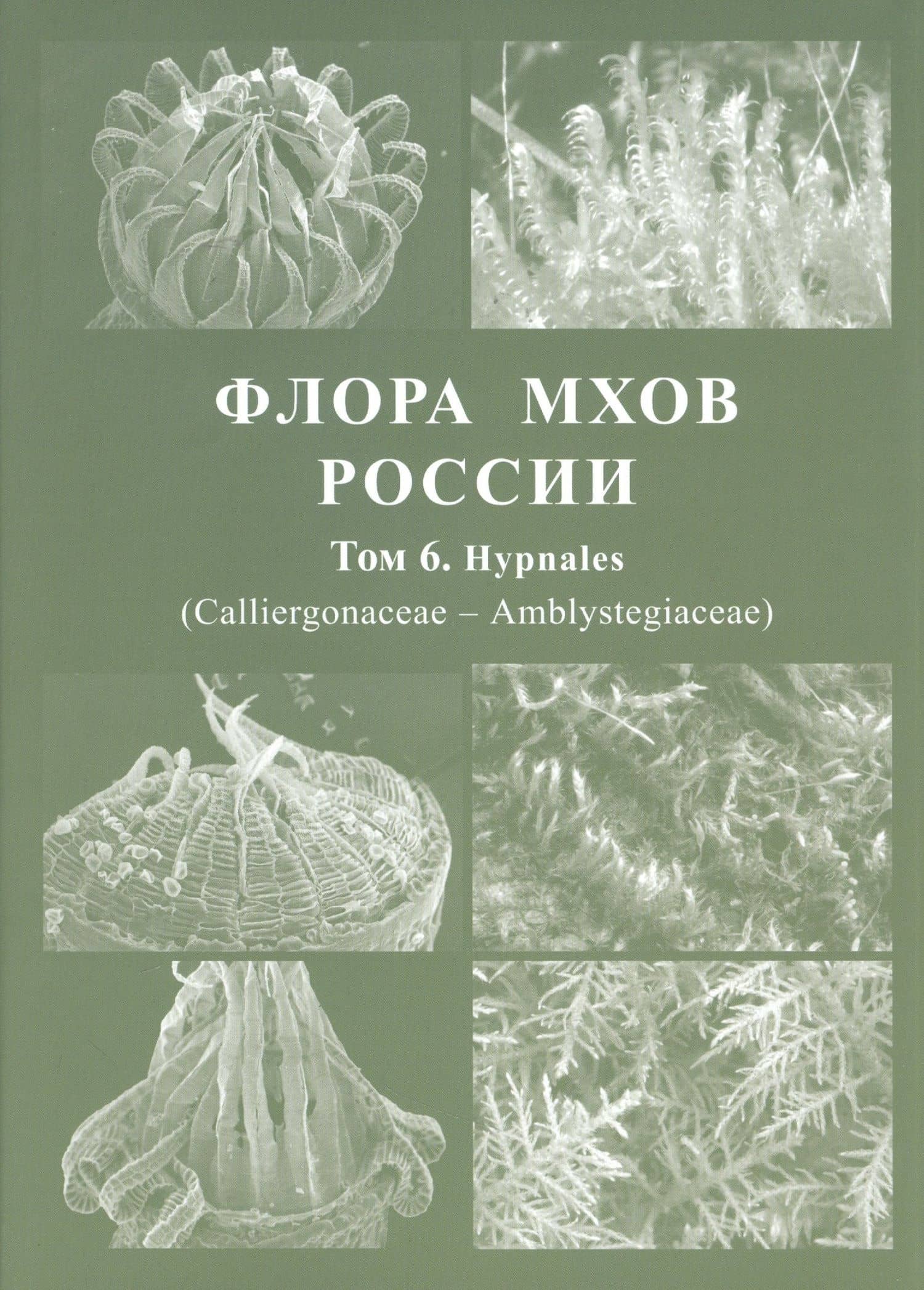 Флора мхов России. Том 6